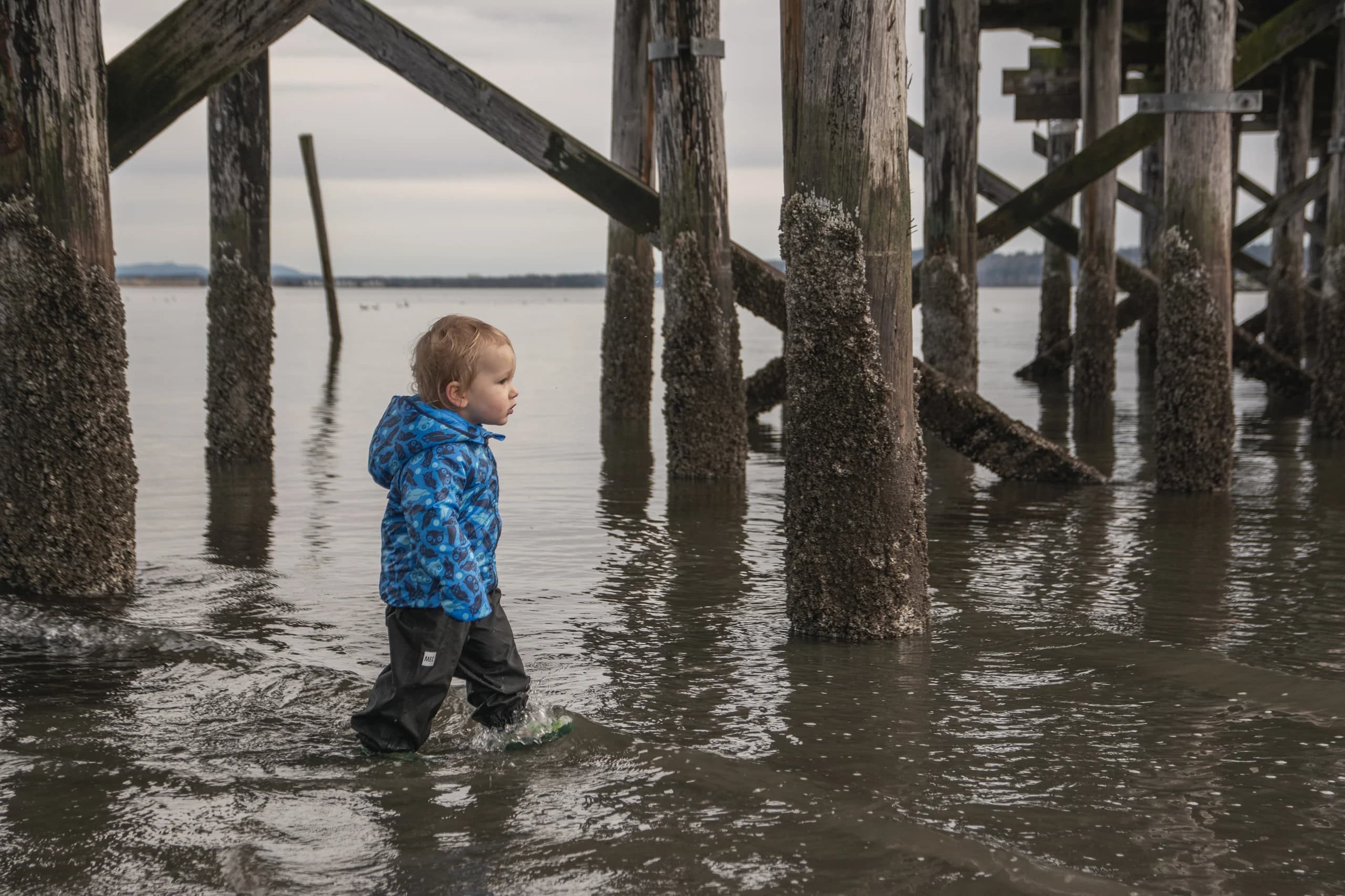 Low Tide at the Pier